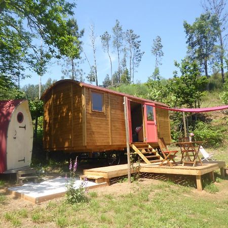 פדרוגאו גראנדה Rosa The Cosy Cabin - Gypsy Wagon - Shepherds Hut, River Views Off-Grid Eco Living מראה חיצוני תמונה