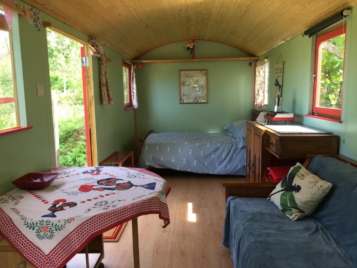 פדרוגאו גראנדה Rosa The Cosy Cabin - Gypsy Wagon - Shepherds Hut, River Views Off-Grid Eco Living מראה חיצוני תמונה